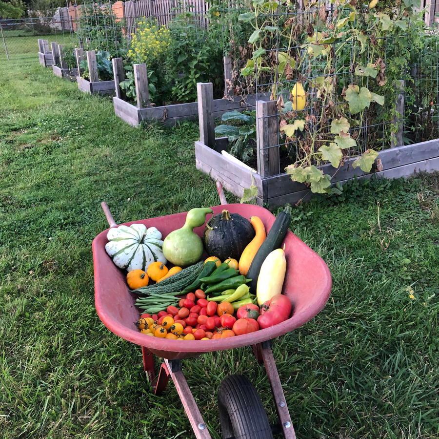 Gardening/Growing Food